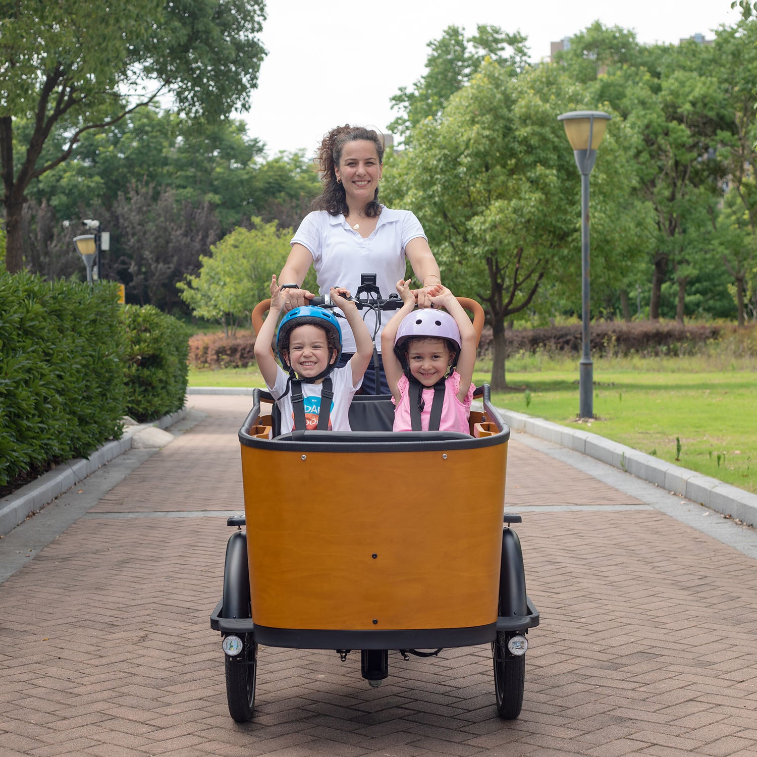 Trio cargo top bike